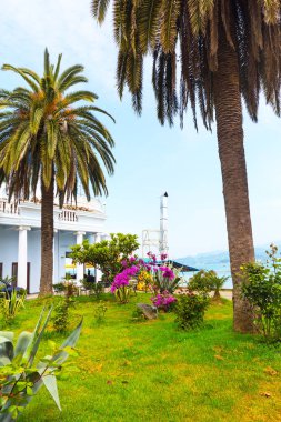 Batum, Georgiam yaz siyah deniz resort palmiye ağaçları ile manzara