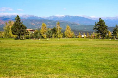 doğa arka plan renkli yeşil, sarı sonbahar ağaçlar ve çim sahası