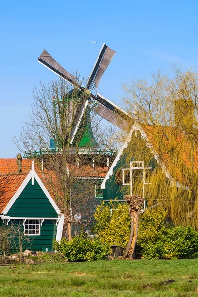 Zaanse Schans, Holland, groene dorpswoningen tegen blauwe hemel — Stockfoto
