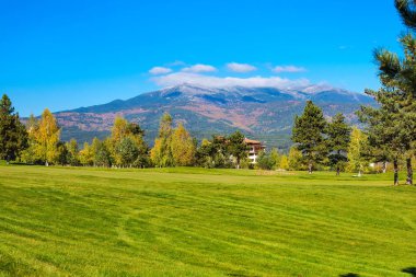 doğa arka plan renkli yeşil, sarı sonbahar ağaçlar ve çim sahası