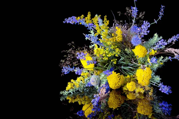 Siyah arka planda bir buket taze kır çiçeği