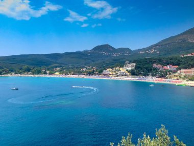 Yaz tatil arka plan turkuaz deniz su koy ve çam ağaçları ile