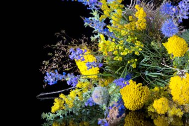 Siyah arka planda bir buket taze kır çiçeği