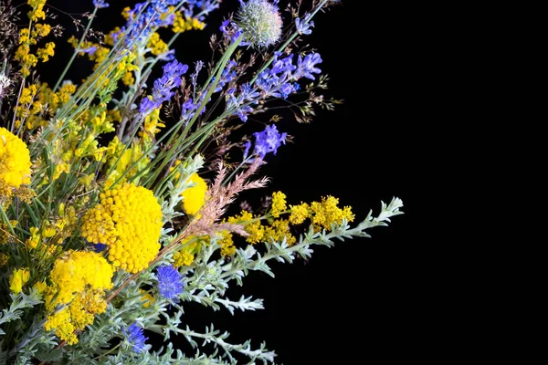 Siyah arka planda bir buket taze kır çiçeği