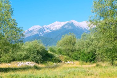Yaz Pirin Dağları manzara, Bulgaristan