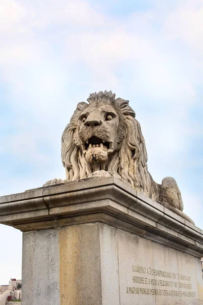 Close up estátua de leão na ponte Chain, Budapeste, Hungria — Fotografia de Stock