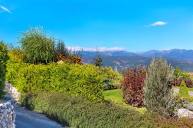 Canlı doğa arka plan renkli yeşil, kırmızı, sarı sonbahar ağaç ve taş yolu