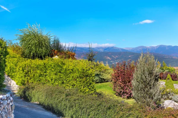 Canlı doğa arka plan renkli yeşil, kırmızı, sarı sonbahar ağaç ve taş yolu