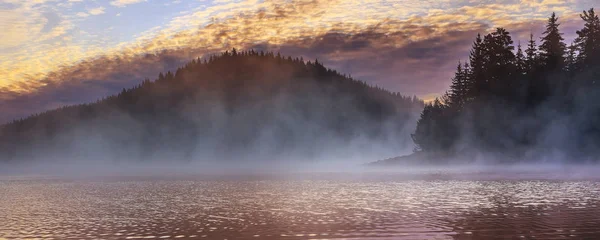 Утренний туман у озера — стоковое фото