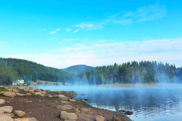 Morgennebel am See — Stockfoto