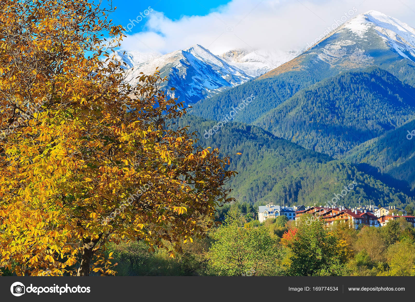 bansko mountain