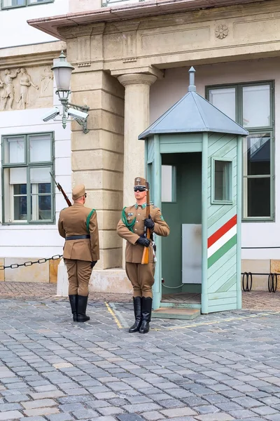 Ceremonia de cambio de guardia cerca del Palacio Presidencial de Budapest, Hungría . —  Fotos de Stock