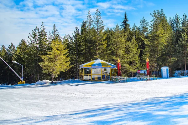 Ski slope in Bansko, Bulgaria, pine trees and small cafe — Stock Photo, Image