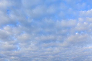 gökyüzü, gündoğumu cirrocumulus bulutlar ile