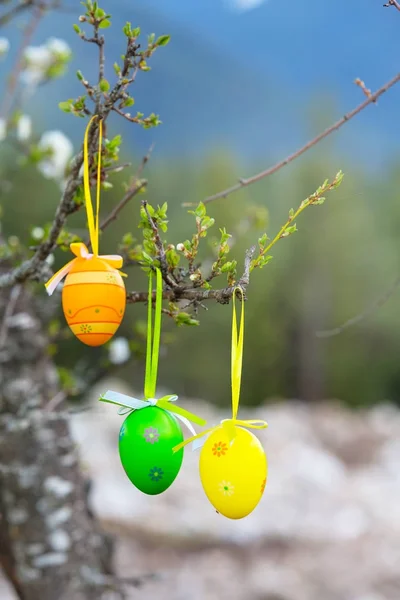 Färgglada målade påskägg på trädet — Stockfoto
