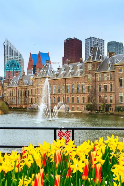荷兰海牙议会大厦宾内堆夫 — 图库照片