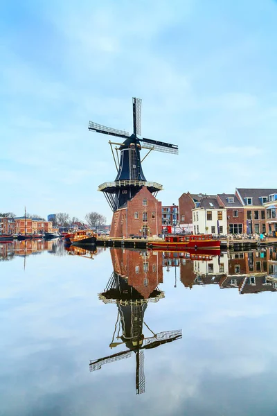 Landschaft mit Windmühle, haarlem, holland — Stockfoto