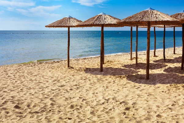 Row of wooden umbrellas at sandy beach — Stock Photo, Image