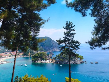 Yaz tatil arka plan turkuaz deniz su koy ve çam ağaçları ile