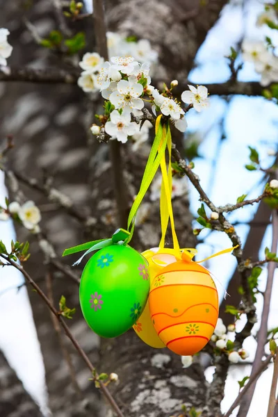 Colorful painted Easter eggs on the tree — Stock Photo, Image