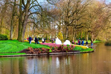 Göl ve çiçekler bahar Çiçek Bahçesi