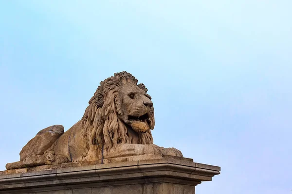 Estátua de leão na ponte Chain, Budapeste, Hungria — Fotografia de Stock