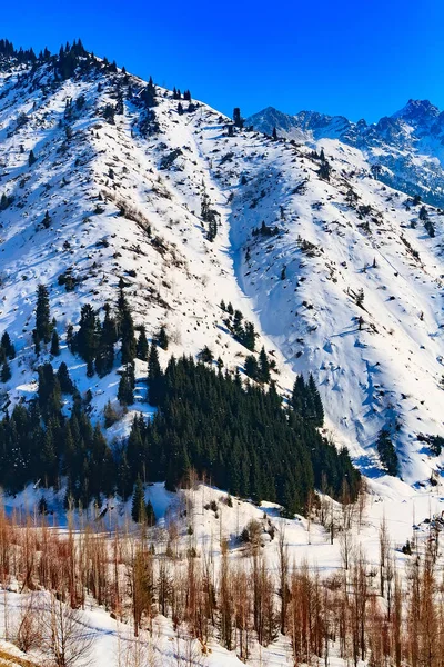 Snow winter mountain background — Stock Photo, Image