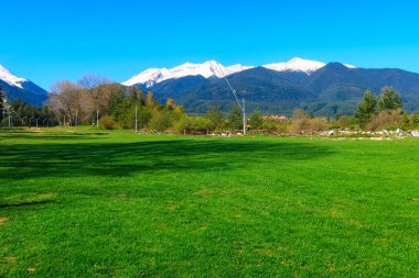 Bahar manzara, yeşil çim ve kar dağlar