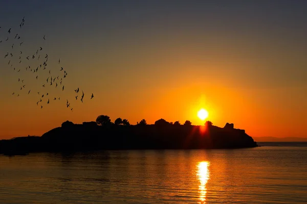 Sonnenuntergang über Meer, Insel und Vögeln — Stockfoto