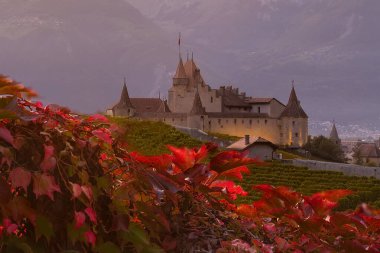 Vaud kantonundaki şato dAigle, İsviçre