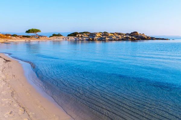 Pino, Spiaggia di Karidi, Vourvourou, Grecia — Foto Stock
