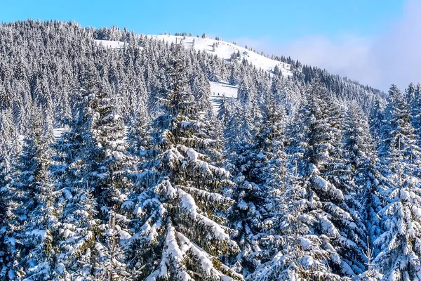 Panorama över backe vid skidorten Kopaonik, Serbien — Stockfoto