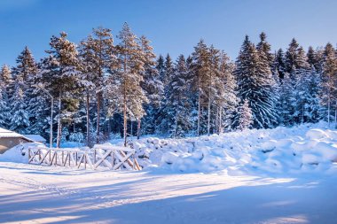 Bansko, Bulgaristan, yamaç panorama Kayak