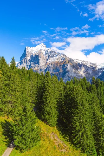 Grindelwald, schweiz schneeberge blick — Stockfoto