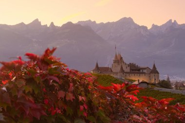 Vaud kantonundaki şato dAigle, İsviçre