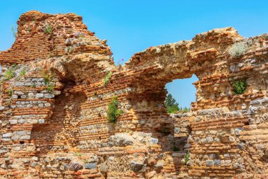 Eski harabeler ve çiçekler Efes, Türkiye