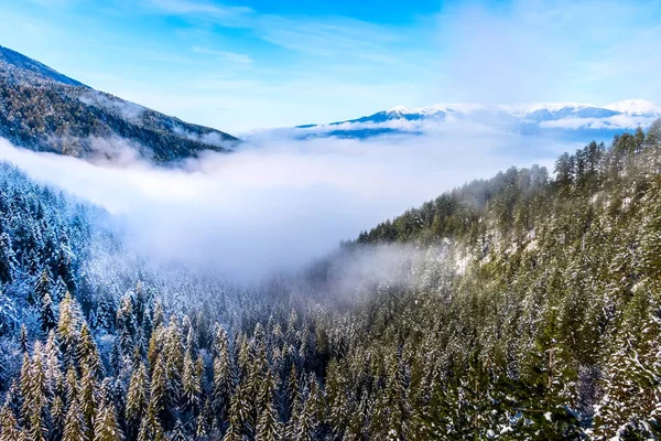 Vinter tallar och berg snö toppar — Stockfoto