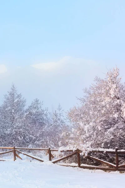 Zimní les, dřevěný plot, vrcholky hor — Stock fotografie