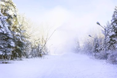Bansko ve Bulgaristan kar topu ile panoramaya gittiler