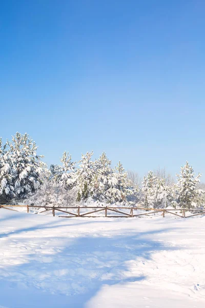 Zimní les, dřevěný plot — Stock fotografie