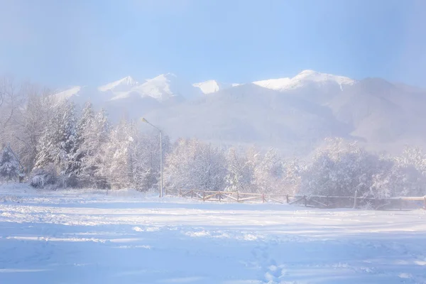 Las zimowy, drewniany płot, szczyty górskie — Zdjęcie stockowe