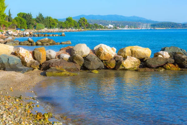 Сосновий ліс біля моря в Галкідікі (Греція). — стокове фото