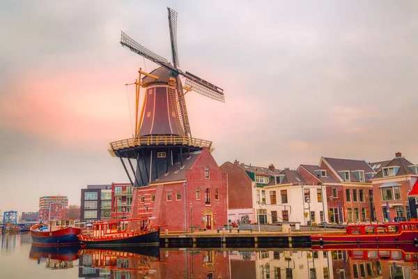 Landschaft mit Windmühle, haarlem, holland — Stockfoto