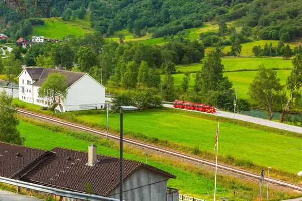 Flam, Norvégia piros vonat túra a zöld völgyben — Stock Fotó