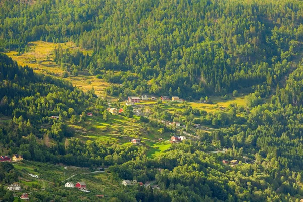 Норвезьке гірське село — стокове фото