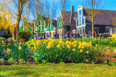 Zaanse Schans, Hollanda, yeşil evler