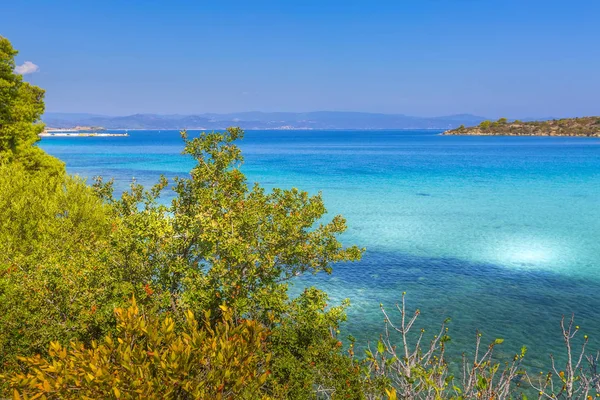 Πευκοδάσος πάνω από τη θάλασσα στην Ελλάδα — Φωτογραφία Αρχείου