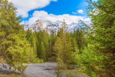 Bernese Alpleri Panorama, Kar Dağları, İsviçre