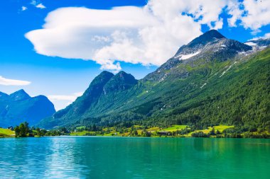 Norveç fiyordu ve buzul manzarası