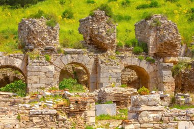 Türkiye 'nin Efes kentinin eski kalıntıları